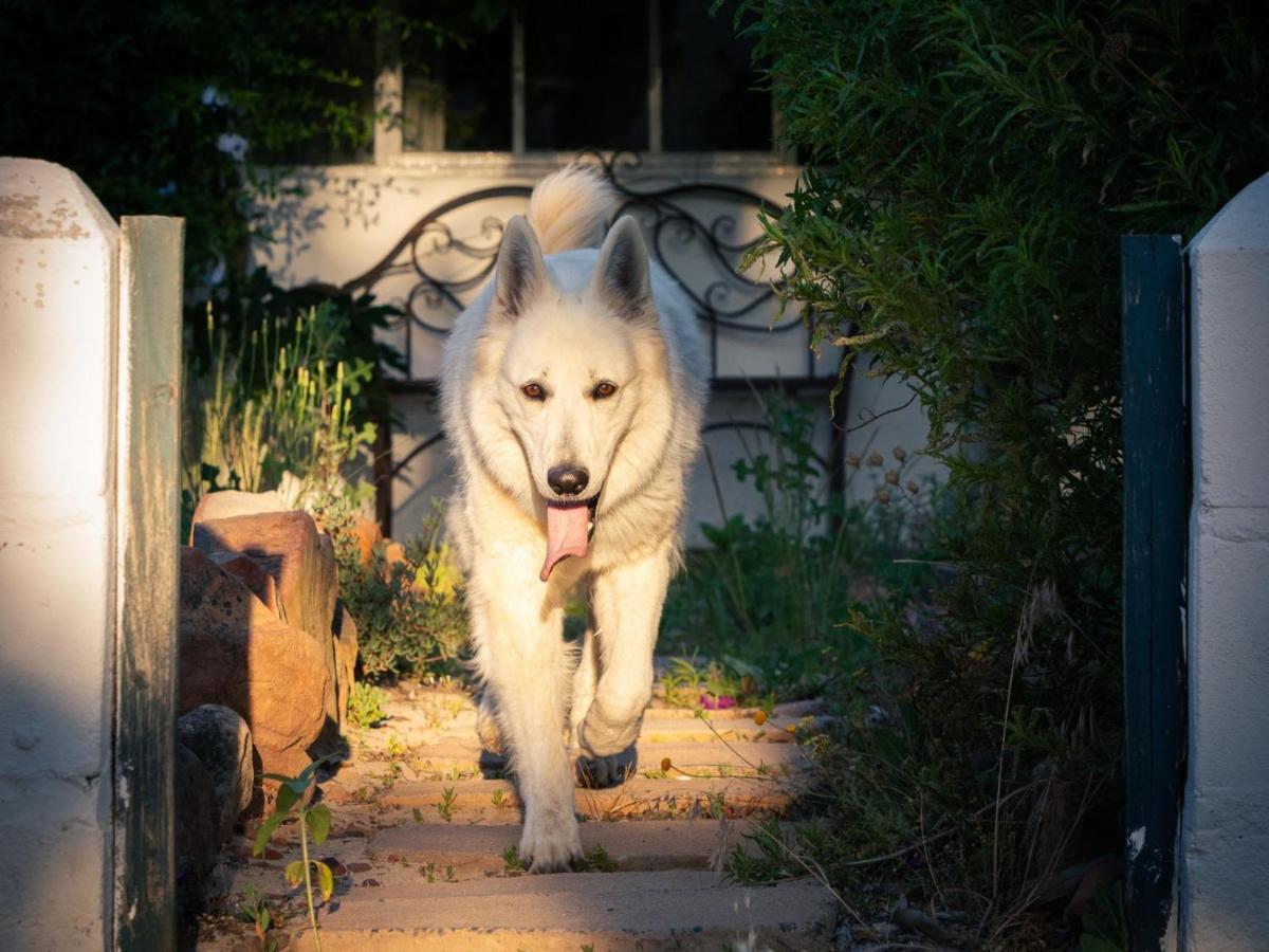 Alpha Excelsior Guest Farm Vila Clanwilliam Exterior foto