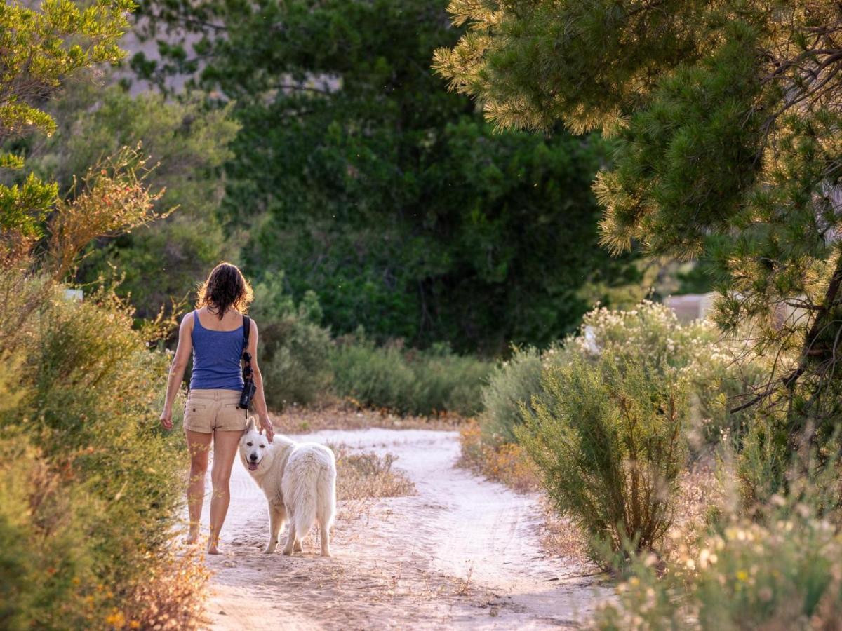 Alpha Excelsior Guest Farm Vila Clanwilliam Exterior foto