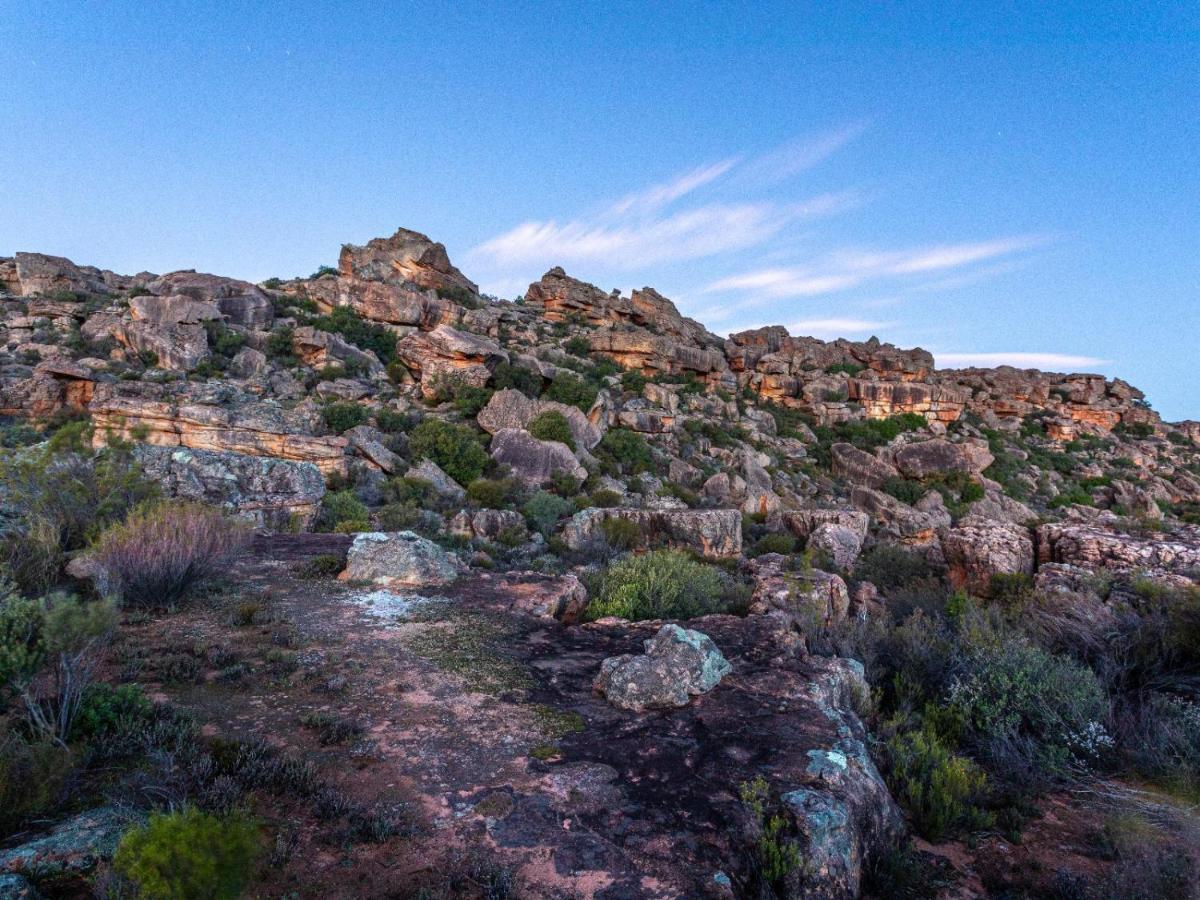 Alpha Excelsior Guest Farm Vila Clanwilliam Exterior foto