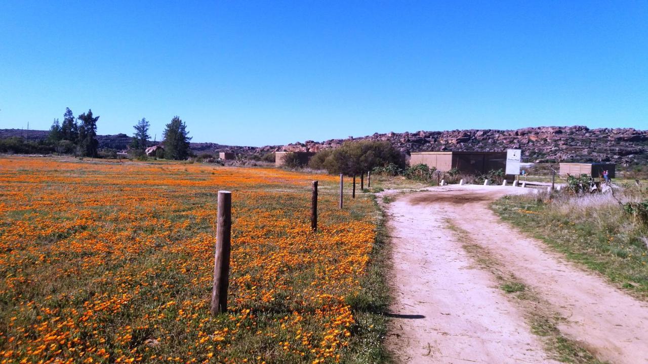 Alpha Excelsior Guest Farm Vila Clanwilliam Exterior foto