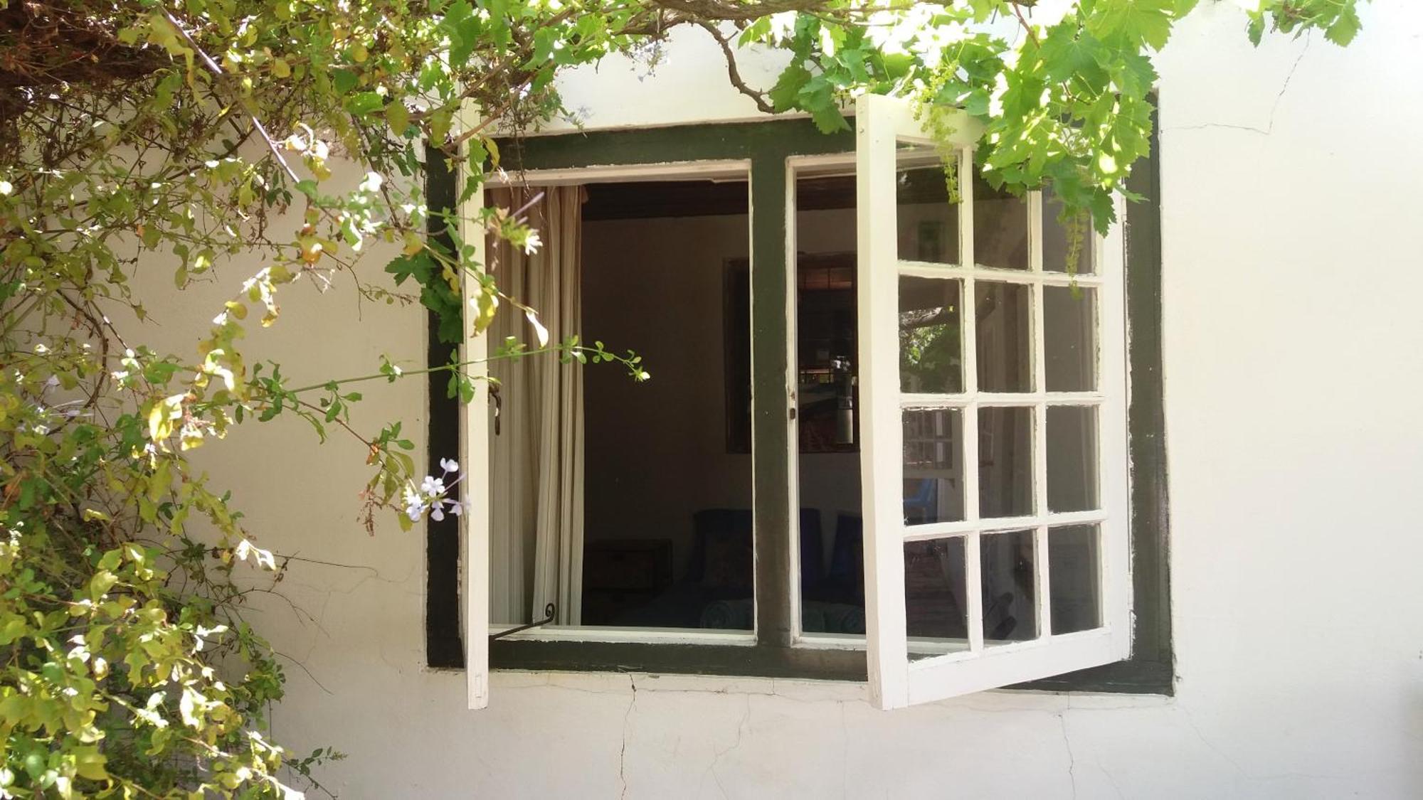 Alpha Excelsior Guest Farm Vila Clanwilliam Quarto foto